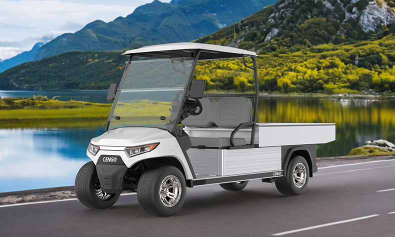 2-seat utility vehicle