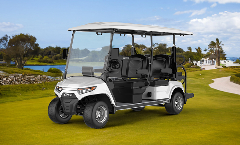 CENGO 6 seater electric golf cart NL-LC4+2